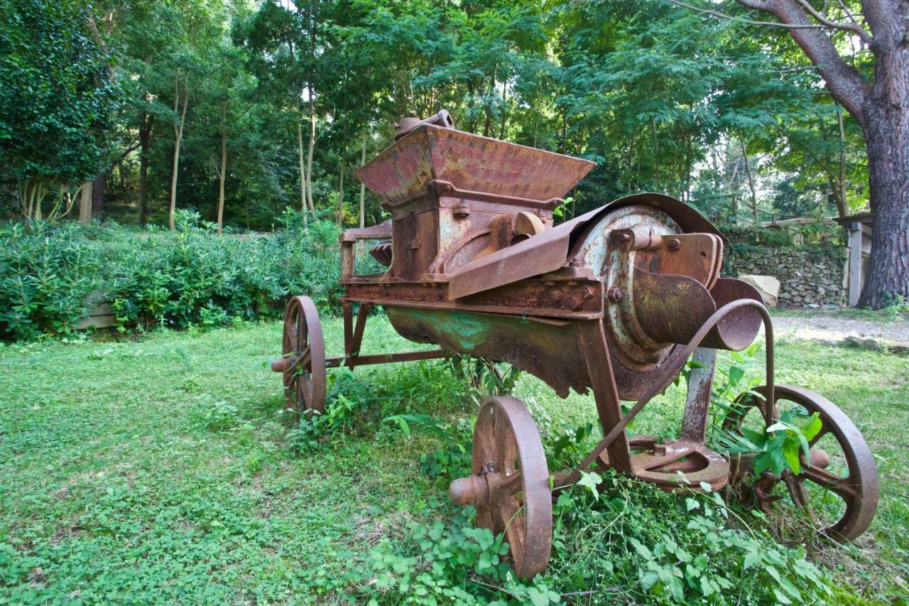 Villa Musolino - Country Resort Messina Esterno foto